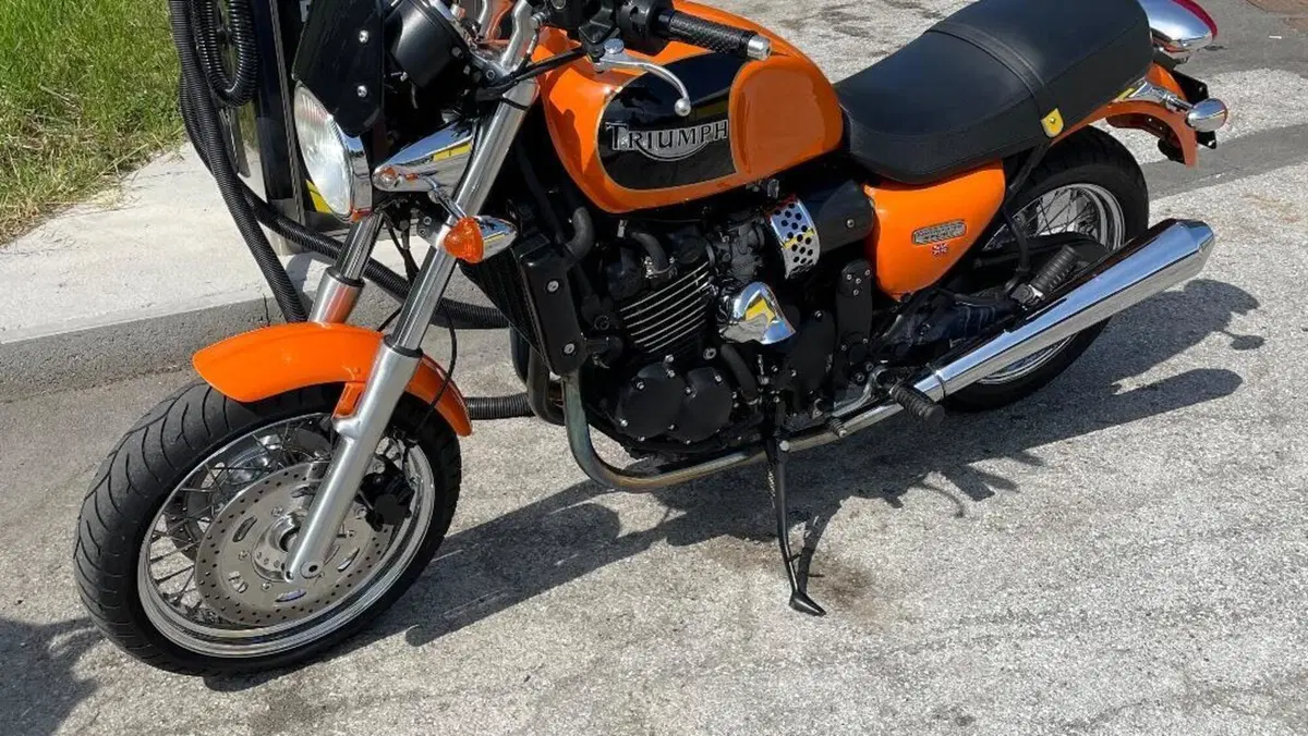 Triumph   (11)