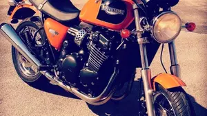 Triumph   (13)