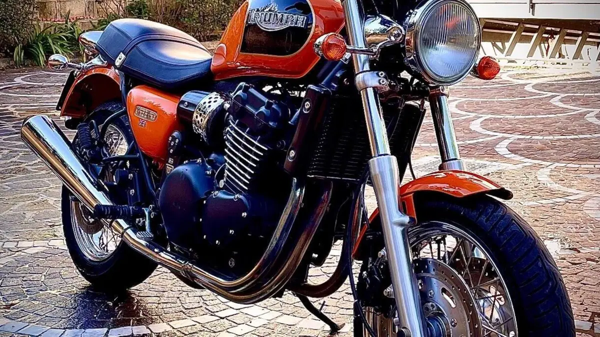 Triumph   (14)