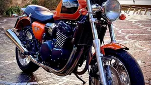 Triumph   (14)