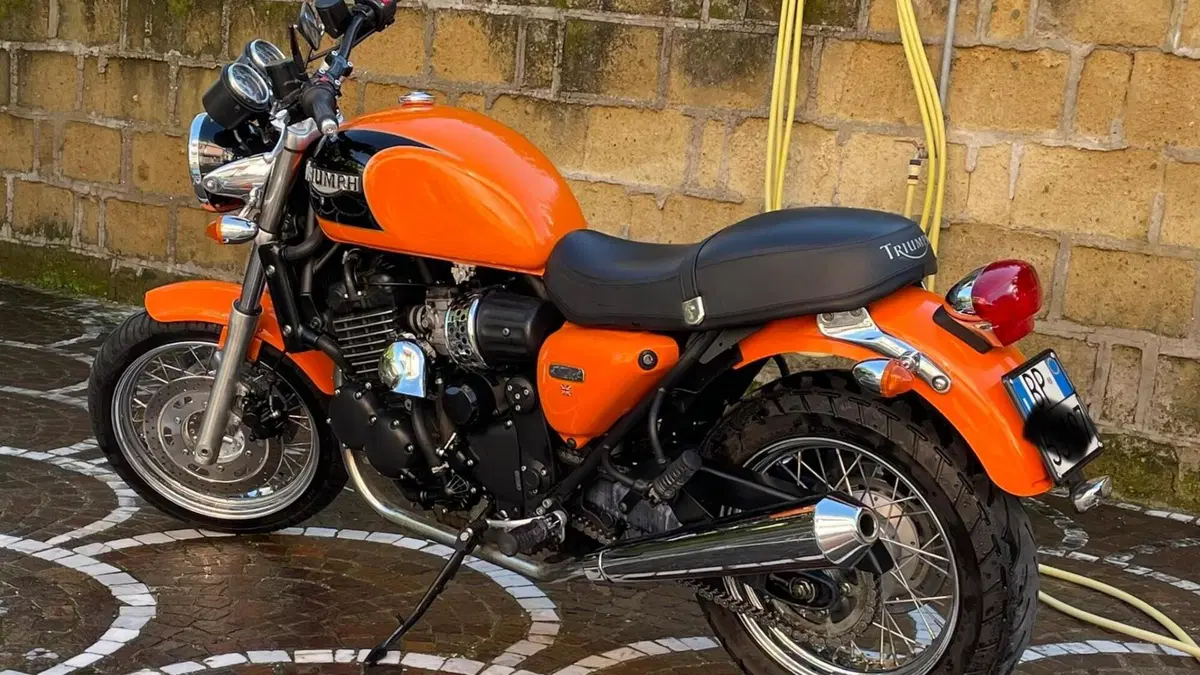 Triumph   (15)