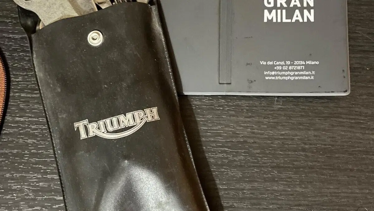 Triumph   (16)