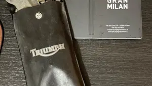 Triumph   (16)