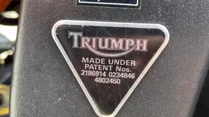 Triumph   (17)