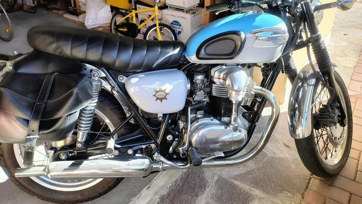 Kawasaki W 650 (1999 - 00)  (6)