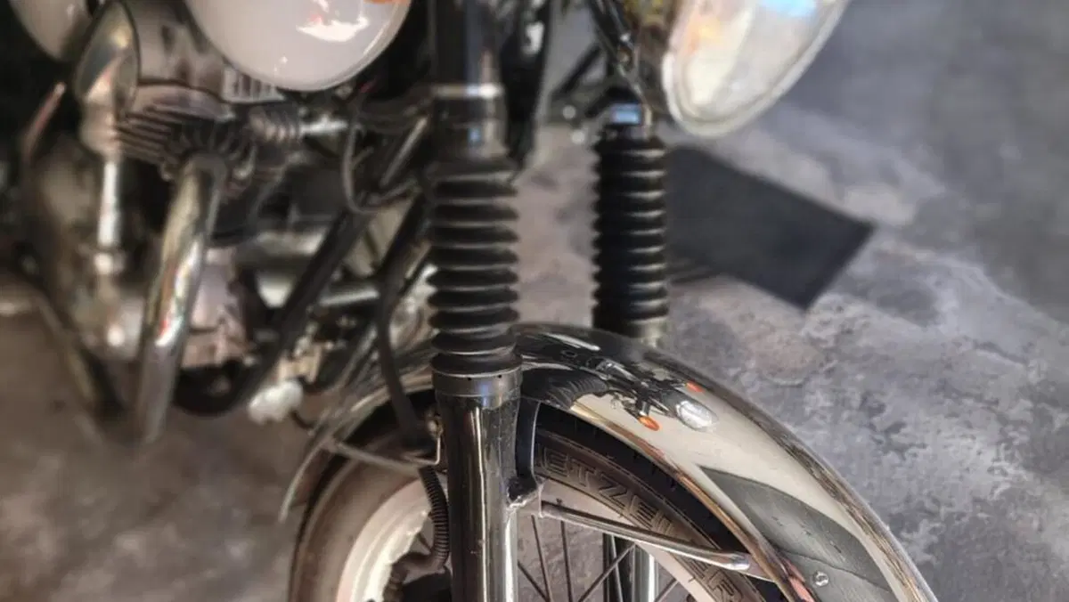 Kawasaki W 650 (1999 - 00)  (9)