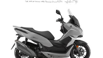 QJ Motor MTX 300 (2025 - 26) nuova