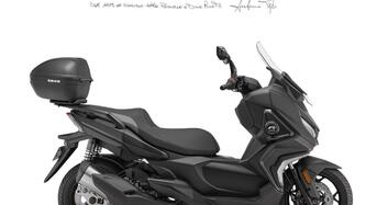 QJ Motor Fort 4.0 (2025 - 26) nuova