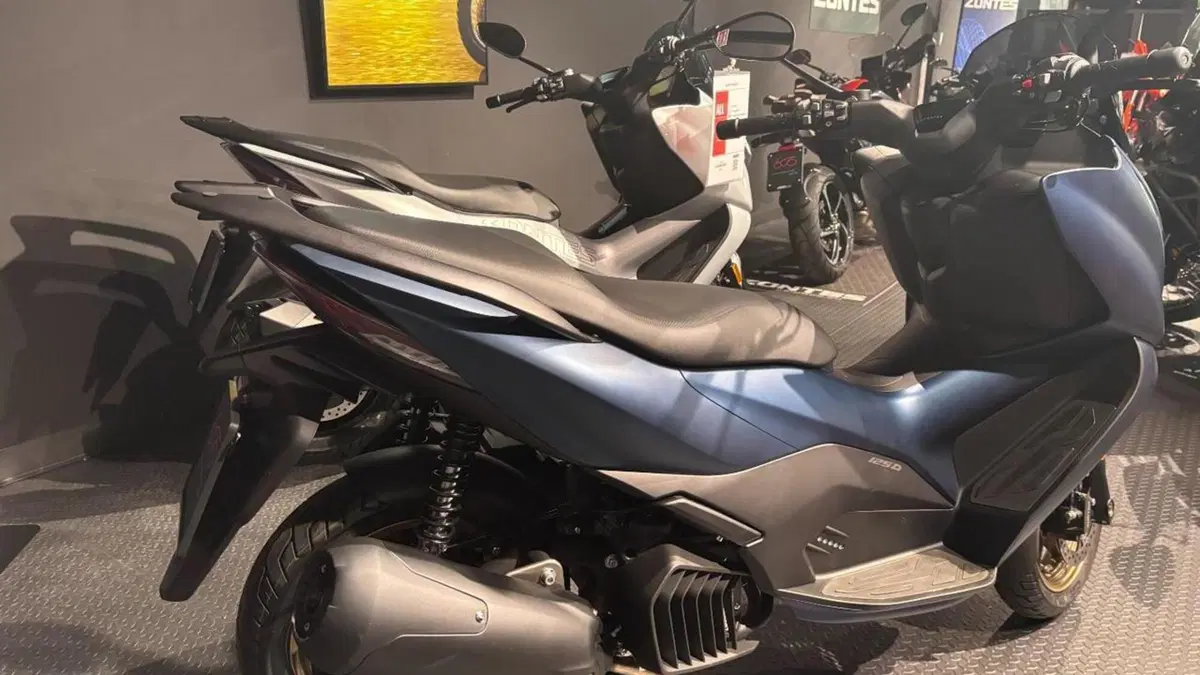 Zontes ZT125-D (2023 - 26)  (6)
