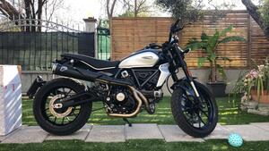 Ducati Scrambler 800 Icon (2023 - 24) 