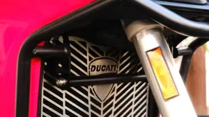 Ducati Multistrada 950 (2018)  (4)