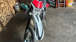 GASGAS EC 300 (2010)  (4)