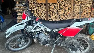 GASGAS EC 300 (2010)  (5)