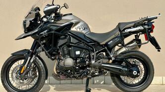 Triumph Tiger 1200 Desert Edition (2020) usata