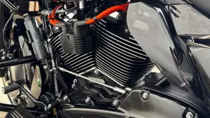 Harley-Davidson Road Glide Special (2021 - 23)  (8)