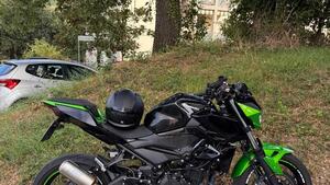 Kawasaki Z 400 (2019 - 20) 