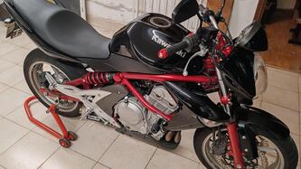 Kawasaki ER-6N (2006 - 09)