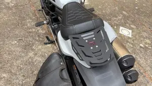 Harley-Davidson Sportster S (2022 - 24)  (4)