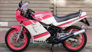 Yamaha RD 350 LCF (1988 - 93) 