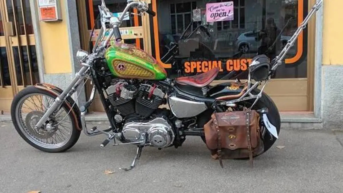 Harley-Davidson 883 Low (2005) - XL 883L 
