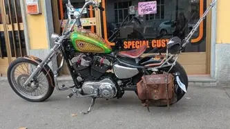 Harley-Davidson 883 Low (2005) - XL 883L usata