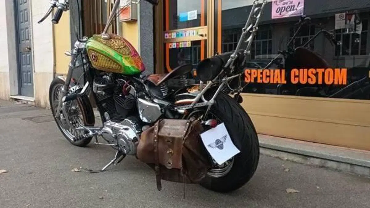 Harley-Davidson 883 Low (2005) - XL 883L  (2)