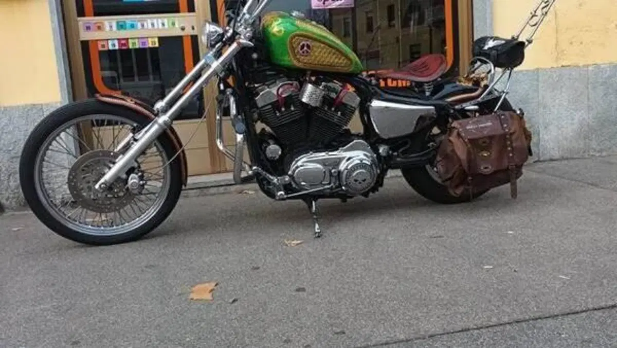 Harley-Davidson 883 Low (2005) - XL 883L  (3)