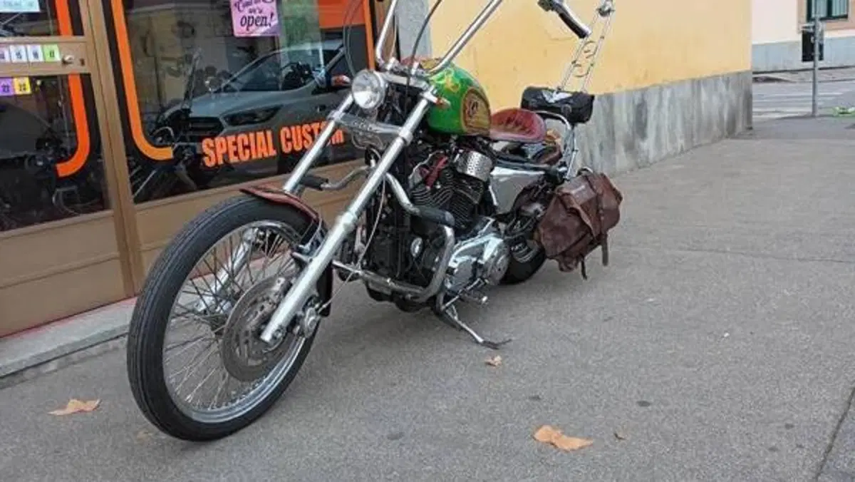 Harley-Davidson 883 Low (2005) - XL 883L  (4)