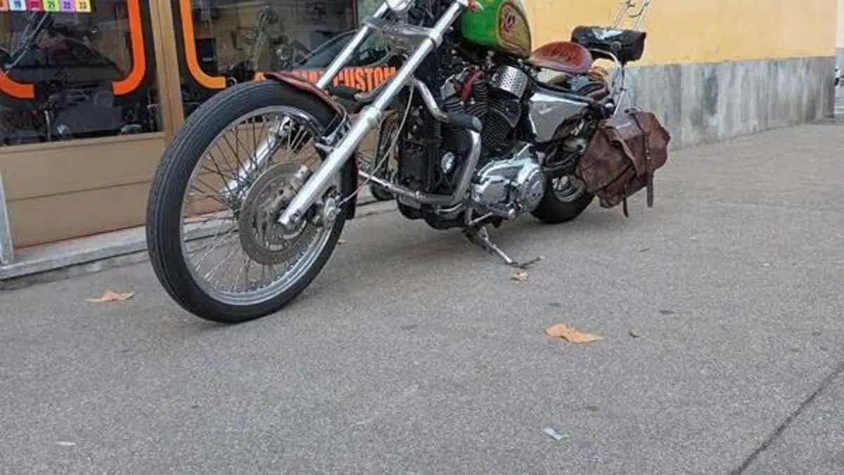 Harley-Davidson 883 Low (2005) - XL 883L  (5)