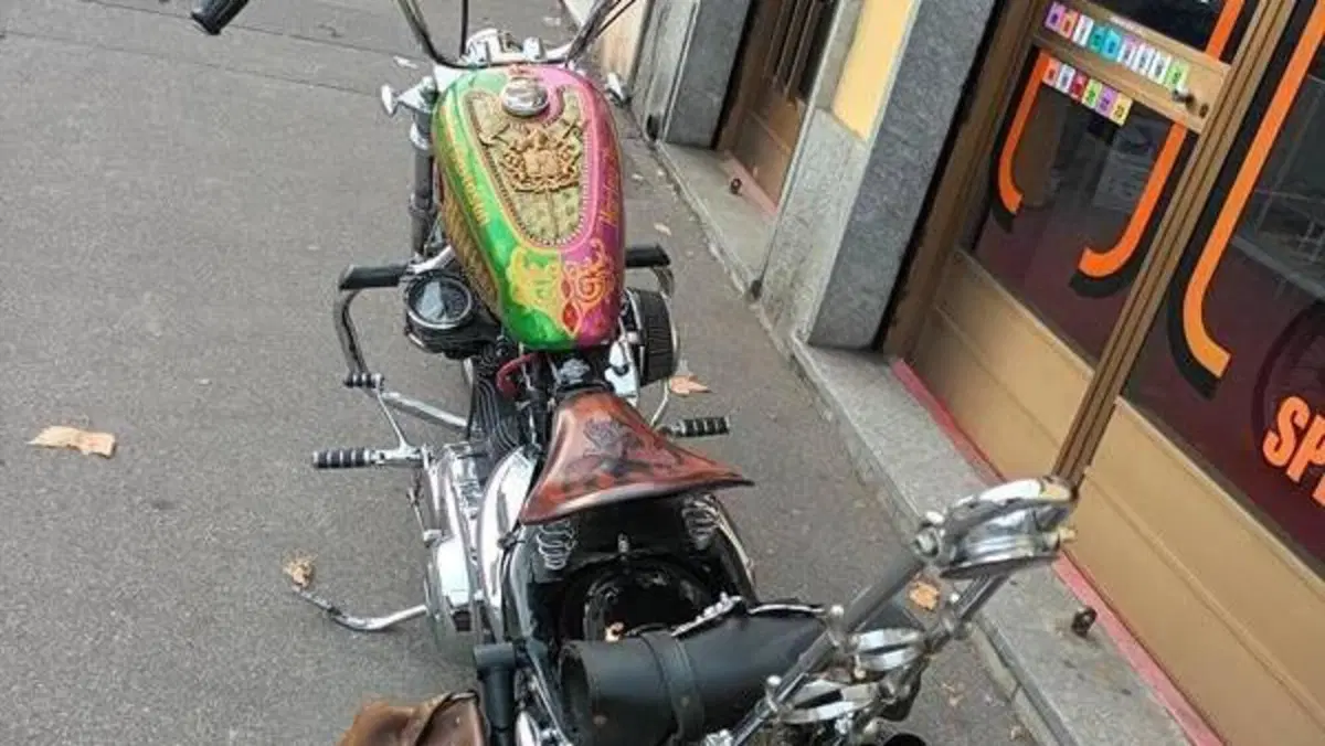 Harley-Davidson 883 Low (2005) - XL 883L  (6)