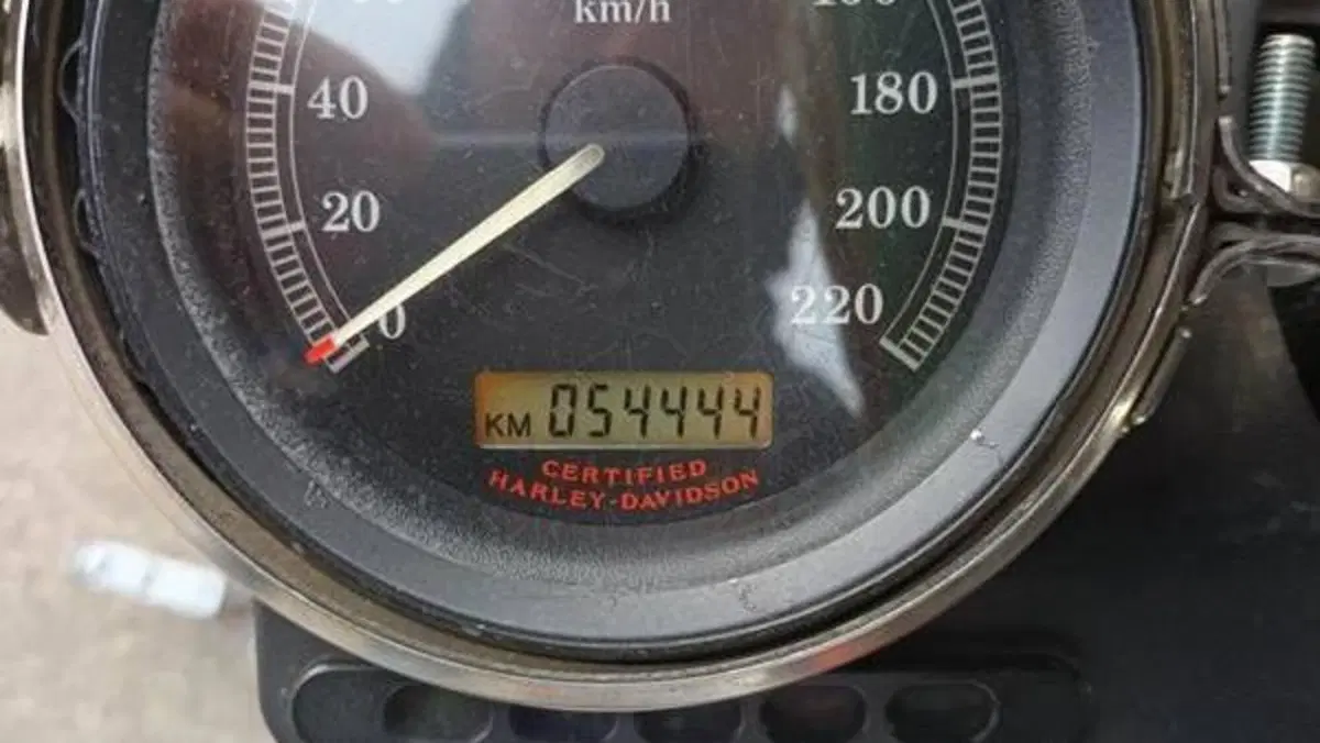 Harley-Davidson 883 Low (2005) - XL 883L  (7)