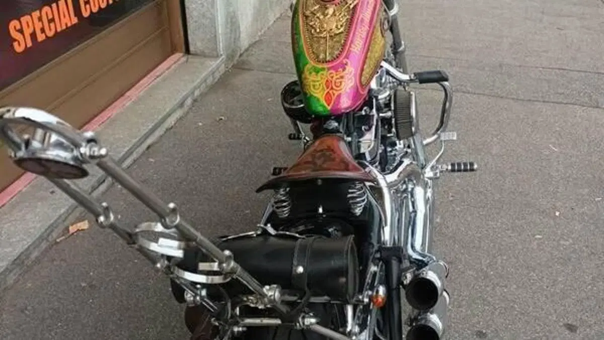 Harley-Davidson 883 Low (2005) - XL 883L  (8)