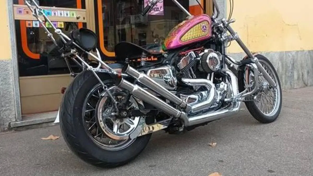 Harley-Davidson 883 Low (2005) - XL 883L  (9)