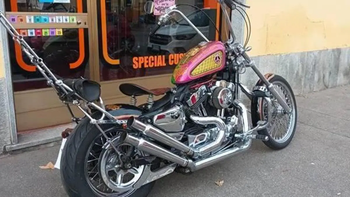 Harley-Davidson 883 Low (2005) - XL 883L  (10)