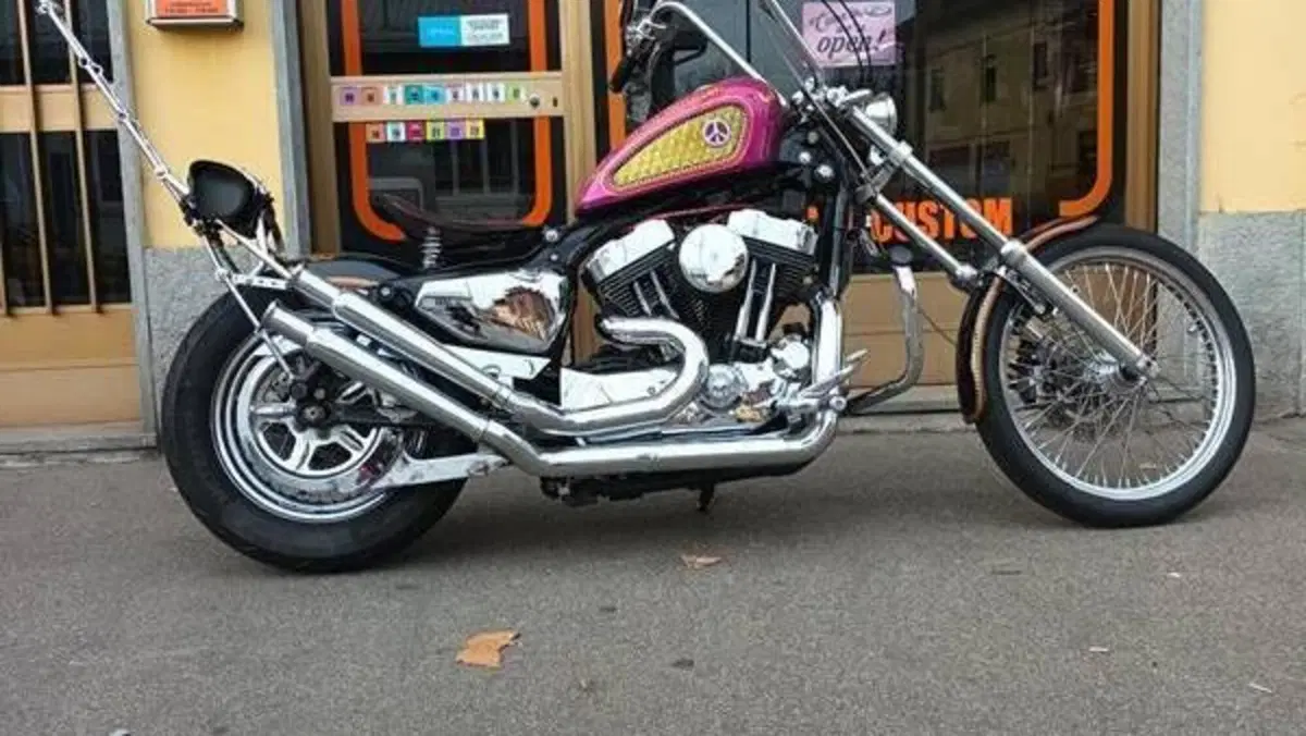 Harley-Davidson 883 Low (2005) - XL 883L  (11)