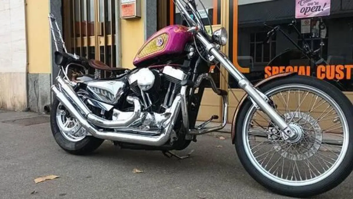 Harley-Davidson 883 Low (2005) - XL 883L  (12)