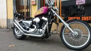 Harley-Davidson 883 Low (2005) - XL 883L  (12)