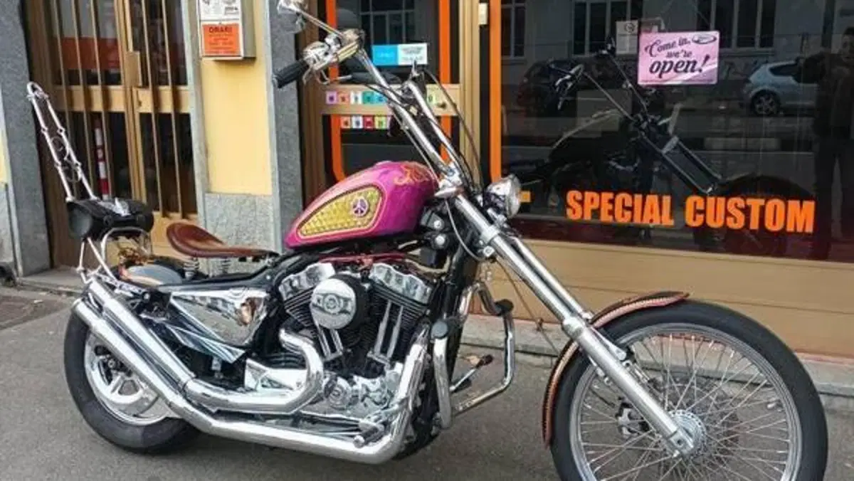 Harley-Davidson 883 Low (2005) - XL 883L  (13)
