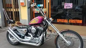 Harley-Davidson 883 Low (2005) - XL 883L  (13)