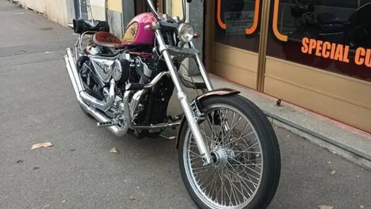 Harley-Davidson 883 Low (2005) - XL 883L  (14)