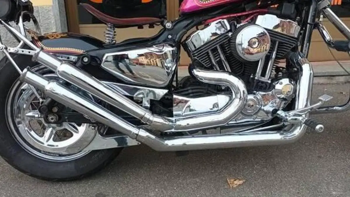 Harley-Davidson 883 Low (2005) - XL 883L  (15)