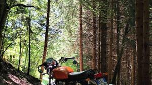 Royal Enfield Interceptor 650 (2019 - 20) 