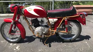 Ducati  