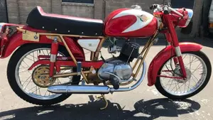 Ducati   (8)