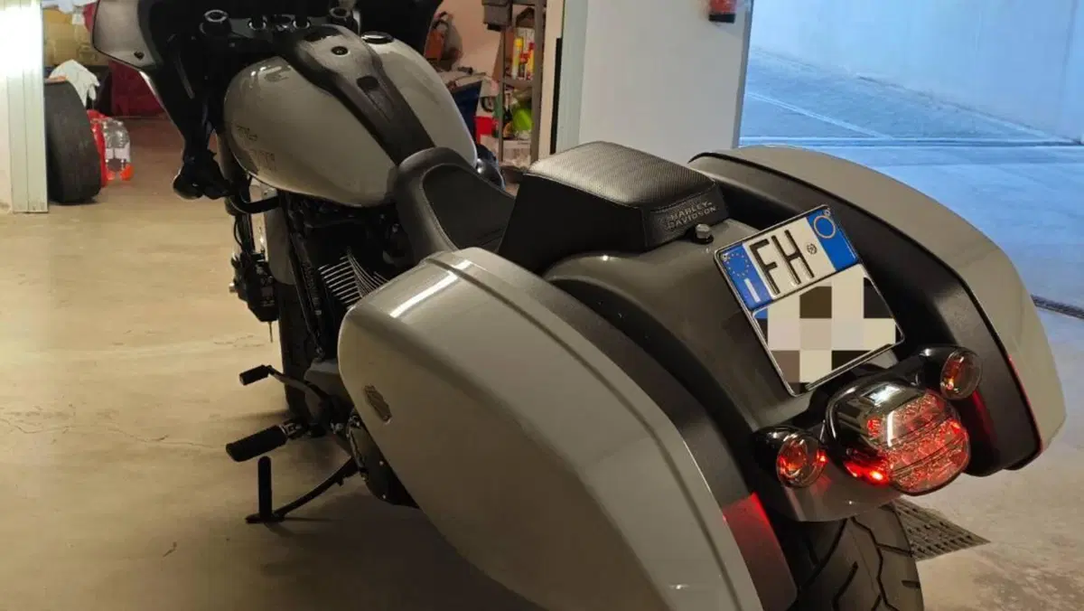 Harley-Davidson Low Rider ST (2022 - 24)  (4)