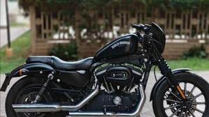 Harley-Davidson 883 Iron (2012 - 14) - XL 883N 