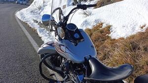 Harley-Davidson 1450 Heritage Springer Classic (2005 - 07) - FLSTSC 