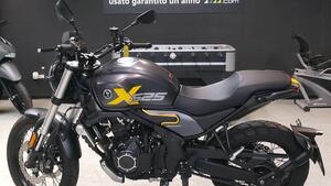 Voge Trofeo 525ACX Scrambler (2023 - 26) 