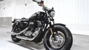 Harley-Davidson 1200 Custom (2018 - 20) - XL1200C  (4)
