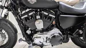 Harley-Davidson 1200 Custom (2018 - 20) - XL1200C  (13)